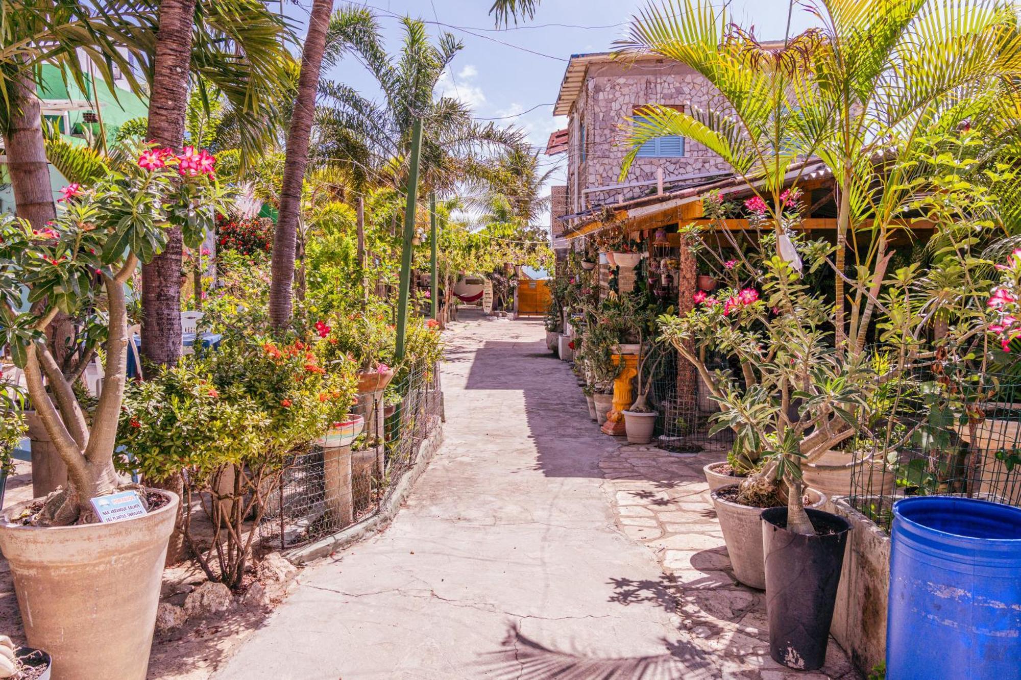 Pousada Chacara Porto Do Sol Jacuma  Ngoại thất bức ảnh