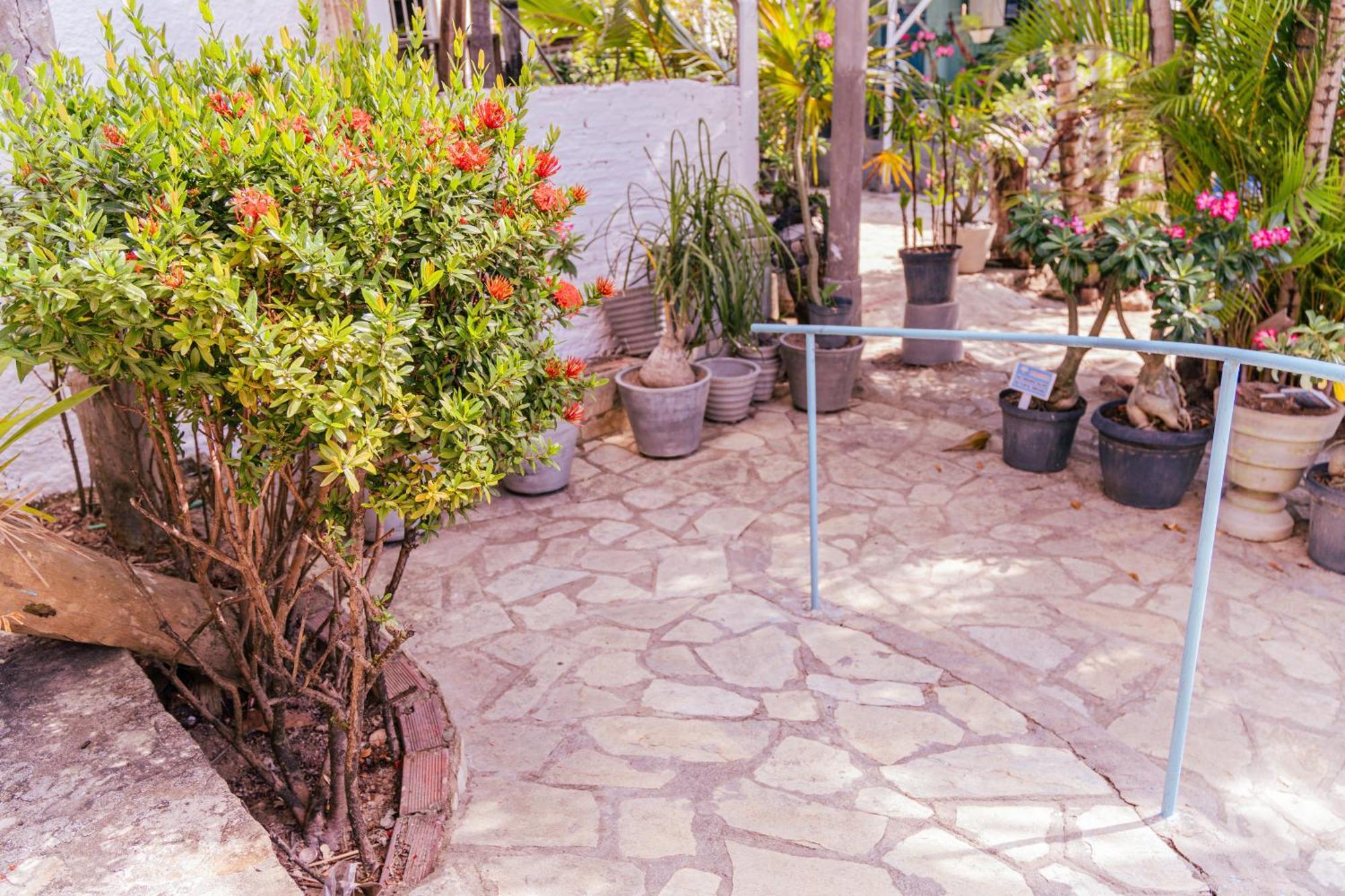 Pousada Chacara Porto Do Sol Jacuma  Ngoại thất bức ảnh